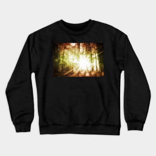 Woodland Sunburst Crewneck Sweatshirt